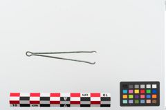 Foto von Bronzepinzette (NHMW-PRAE-024107)